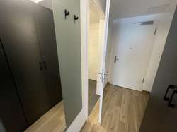 IMG_0662 1 IMG_0662 1