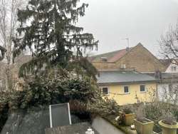 IMG_8872(1) IMG_8872(1)